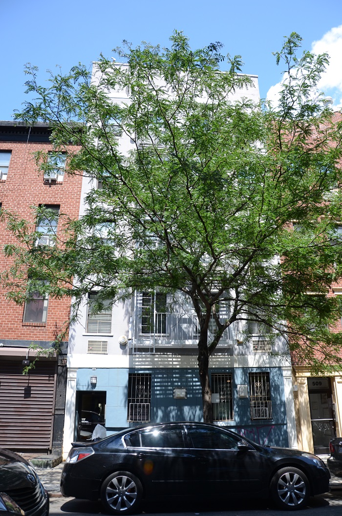 Photo 1 of 507 East 12th Street 2A, East Village, NYC, $585,000, Web #: 22036077