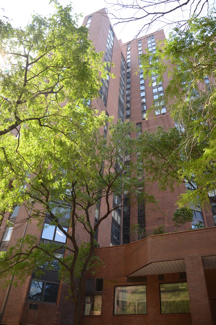 Photo 1 of 1619 Third Avenue 6J, Upper East Side, NYC, $3,600, Web #: 20932670